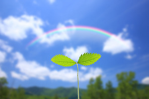 1c83fe8b0e16942e4ddbb3aaaf83e0ac_300_200