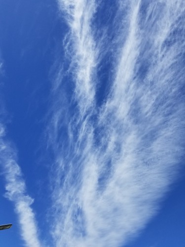 20180817_102155