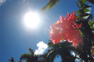 haumea_img002