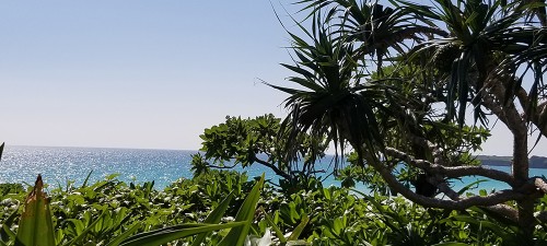 image6