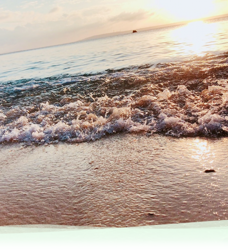 sp_image3